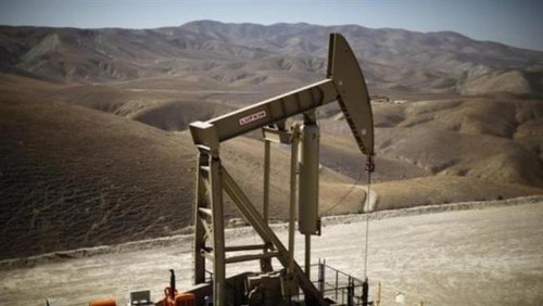 Oil prices surge nearly 4 USD a barrel - ảnh 1